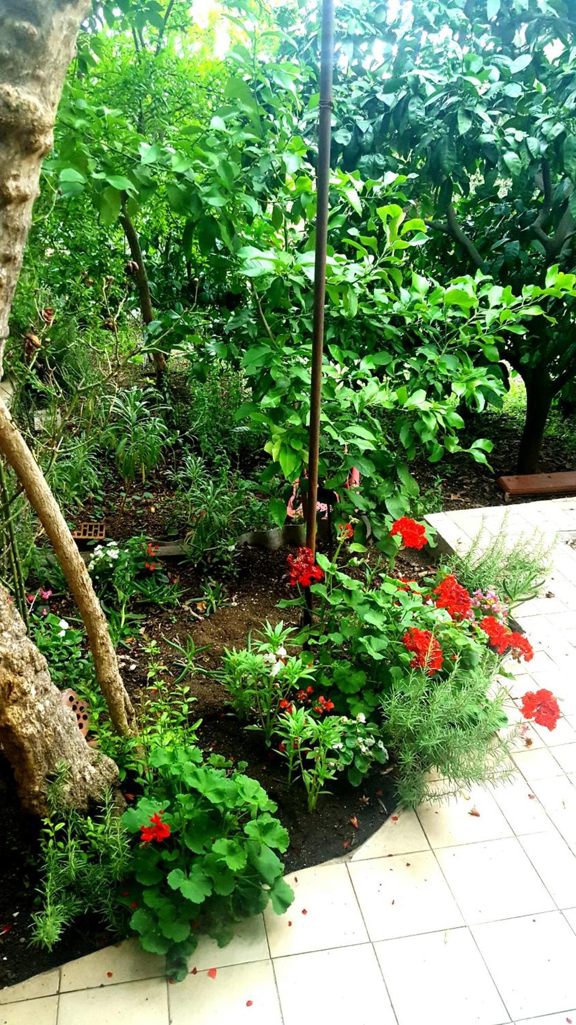 Apartments Vala Betina  Εξωτερικό φωτογραφία