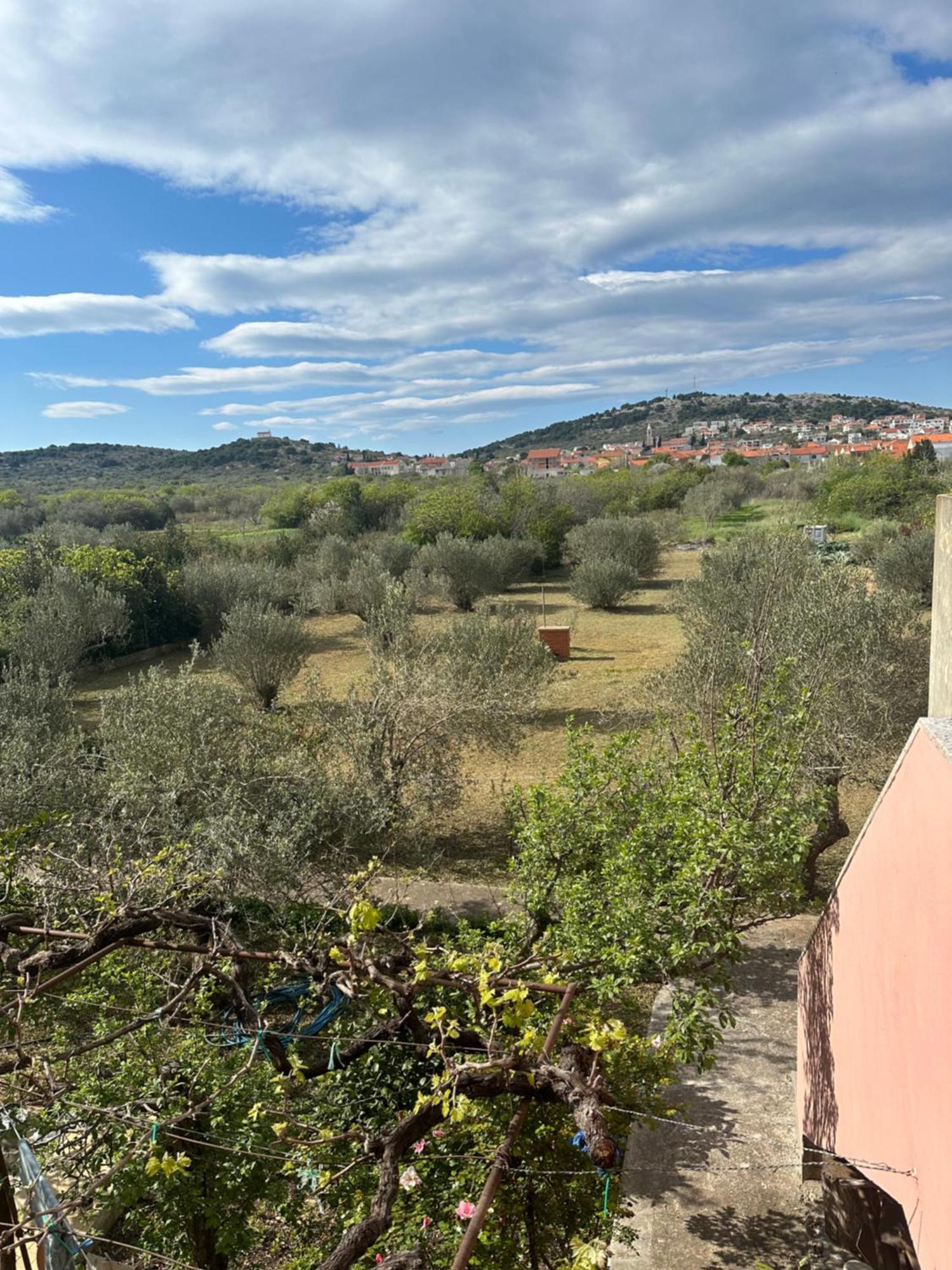 Apartments Vala Betina  Εξωτερικό φωτογραφία