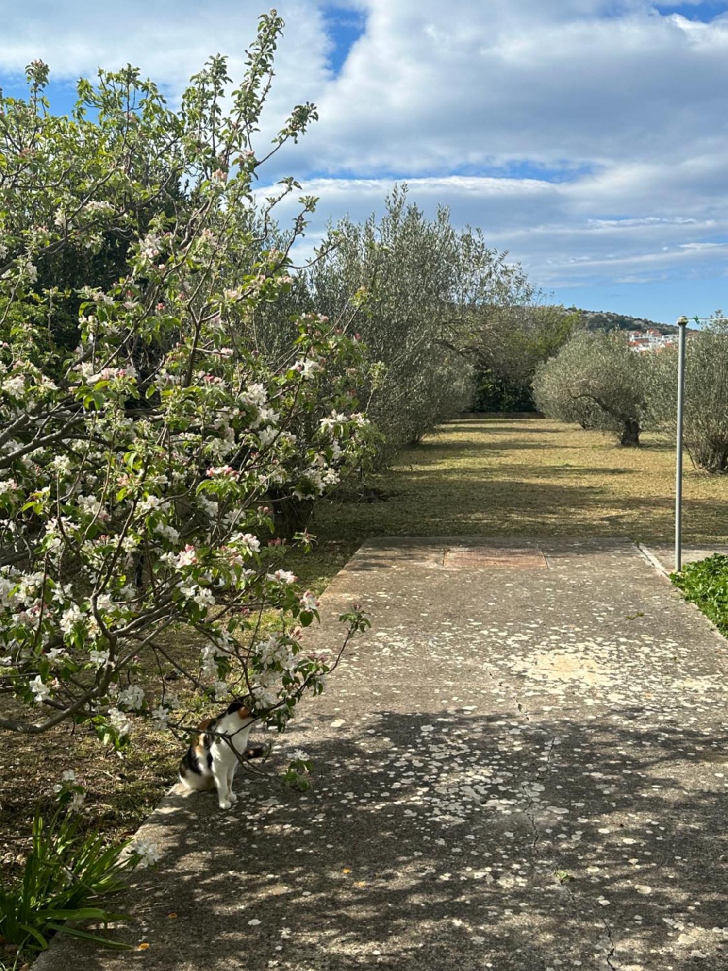 Apartments Vala Betina  Εξωτερικό φωτογραφία